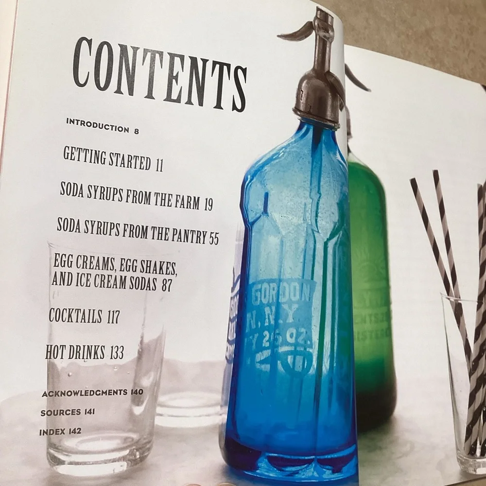 Make Your Own Soda Recipe Book by Anton Nocito